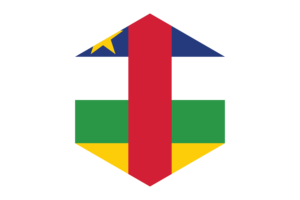 Central African Flag Hexagon Shape flag