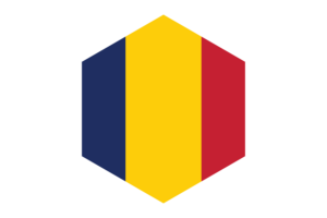 Chad Flag Hexagon Shape flag