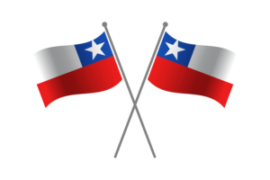 Chile Friendship Flag flag