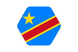 Congo Flag Vector Illustration flag