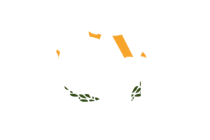 Cyprus Country Code flag