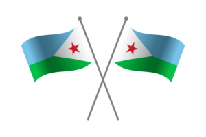 Djibouti Friendship Flag flag