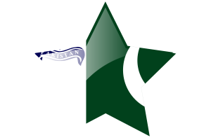 Icona Stella di Bandiera di Standard Navale flag