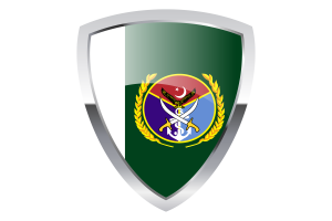 Chairman Joint Chiefs of Staff Committee Shield Flag flag