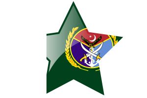 Chairman Joint Chiefs of Staff Committee Flag Star Icon flag