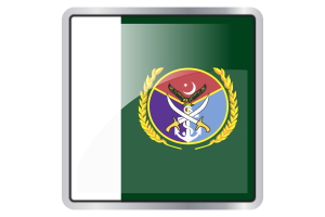 Chairman Joint Chiefs of Staff Committee Flag Square icon flag