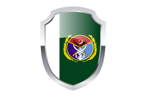 Chairman Joint Chiefs of Staff Committee Shield Logo flag