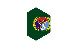 Chairman Joint Chiefs of Staff Committee Flag Hexagon Shape flag