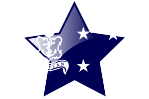 Icona Stella della Bandiera dell'Ammiraglio della Marina flag