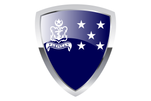 Navy Admiral of the Fleet Shield Flag flag