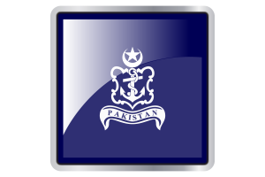 Senior Officer Afloat Flag Square icon flag