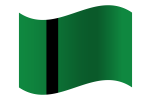 Delhi Sultanate Flag flag