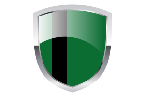 Delhi Sultanate Clipart flag