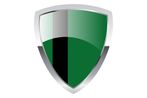 Delhi Sultanate Shield Flag flag