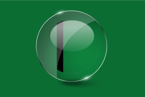 Delhi Sultanate Flag Glossy Round Button flag