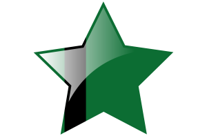 Delhi Sultanate Flag Star Icon flag