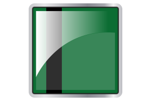 Delhi Sultanate Flag Square icon flag