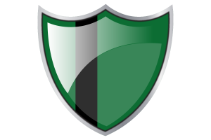 Shield with Flag of Delhi Sultanate flag