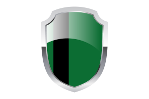 Delhi Sultanate Shield Logo flag