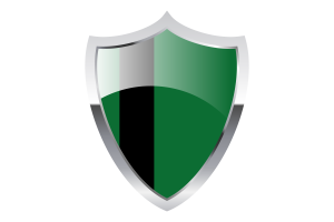 Delhi Sultanate Flag with Medieval Heater Shield flag