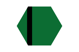 Delhi Sultanate Flag Vector Free | SVG and PNG flag