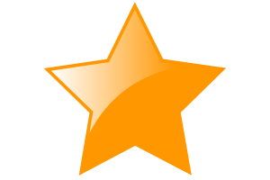 Maratha Empire Flag Star Icon flag