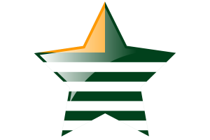 Azad Kashmir Flag Star Icon flag