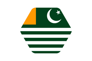 Azad Kashmir Flag Vector Illustration flag