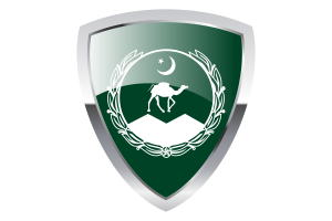 Balochistan Shield Flag flag