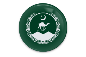 Balochistan Flag Vector Art flag