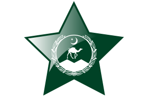 Balochistan Flag Star Icon flag