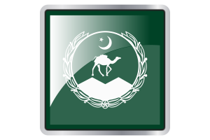 Balochistan Flag Square icon flag