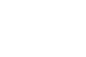 Emblem of FATA flag
