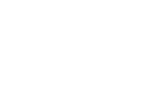 Emblem of Punjab flag