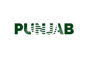 Punjab Text Art flag