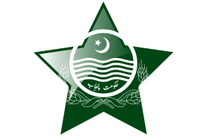 Punjab Flag Star Icon flag