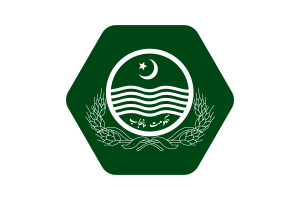 Punjab Flag Vector Illustration flag