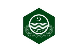 Punjab Flag Hexagon Shape flag