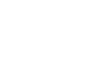 Emblem of Sindh flag