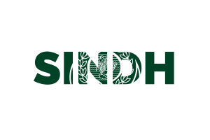 Sindh Text Art flag