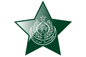 Sindh Flag Star Icon flag