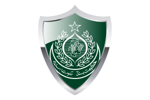 Sindh Flag with Medieval Heater Shield flag