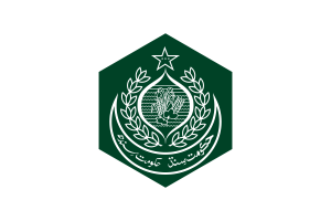 Sindh Flag Hexagon Shape flag