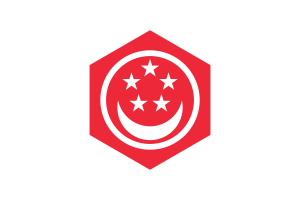 Civil Ensign of Singapore Flag Hexagon Shape flag