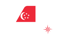 Naval Ensign of Singapore (legal ratio) Flag Vector Illustration flag