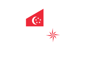 Naval Ensign of Singapore (legal ratio) Flag Hexagon Shape flag
