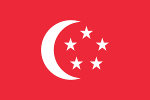 Flag of President of Singapore flag