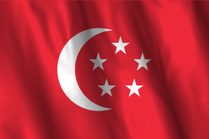 National Flag of President of Singapore flag
