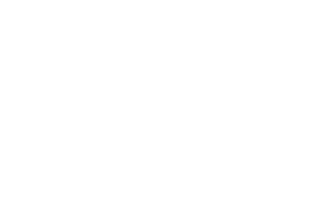 Emblem of President of Singapore flag