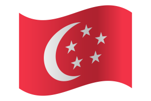 President of Singapore Flag flag